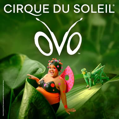 Poster of Cirque du Soleil - Ovo In London