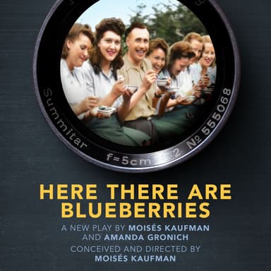 Poster of Here There Are Blueberries on Broadway in New York.