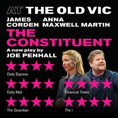 Poster of The Constituent in London