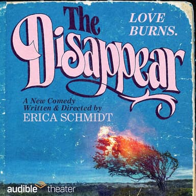 Poster of The Disappear in New York.