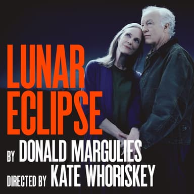 Poster of Lunar Eclipse in New York.