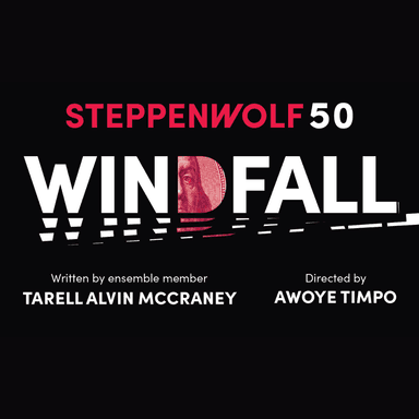 Poster of Windfall in Chicago.
