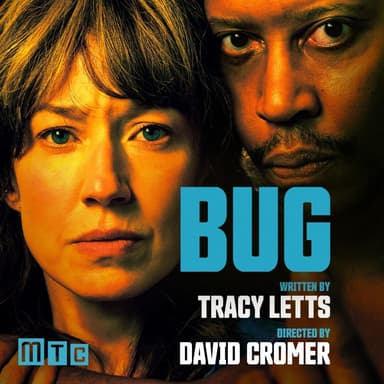 Poster of Bug in New York.