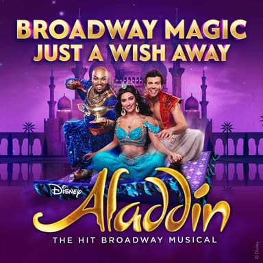 Poster image of Aladdin in New York.