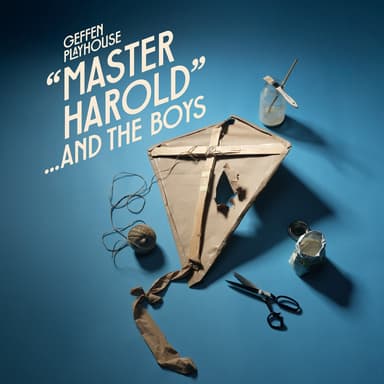 Poster of "Master Harold" ...and the Boys in Los Angeles.