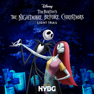 Poster of Disney Tim Burton's The Nightmare Before Christmas Light Trail in New York.