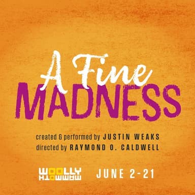Poster of A Fine Madness in Washington, DC.
