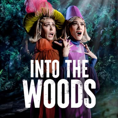 Poster of Into The Woods In London