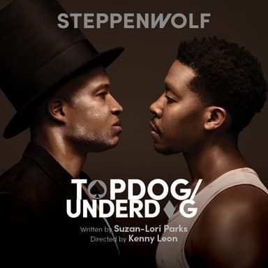 Poster of Topdog/Underdog in Chicago.