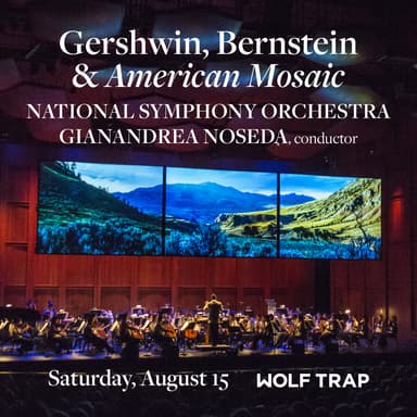 Poster of NSO: Gershwin, Bernstein & American Mosaic in DC.