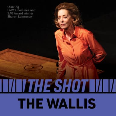 Poster of The Shot in LA.