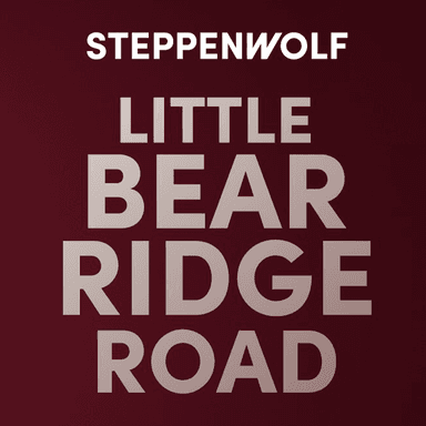 Poster of Little Bear Ridge Road in Chicago.