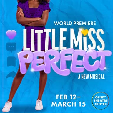 Poster of Little Miss Perfect in Washington, DC.