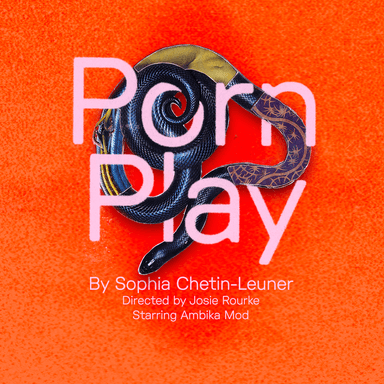 Poster of Porn Play in London