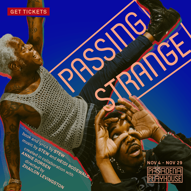 Based on the life of musician Stew.
